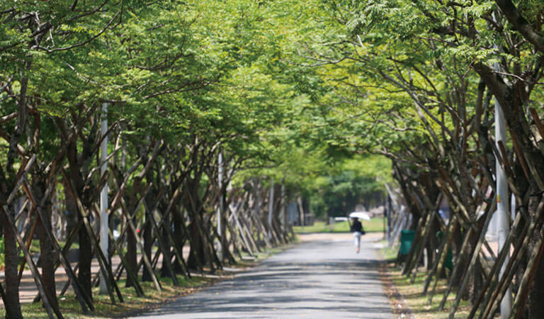 宜蘭大學