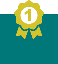 no1保險